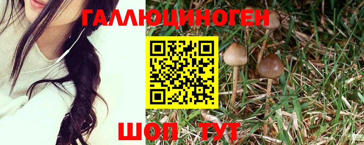 Медногорск  Галлюциногенные грибы мицелий  Вход с VPN 