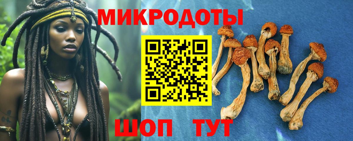 Галлюциногенные грибы ЛСД Медногорск